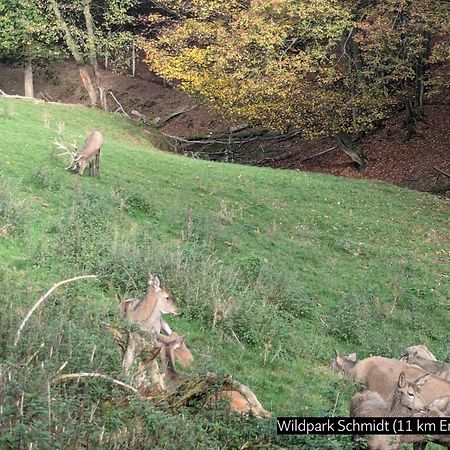 Eifel-Ferienhaus Landblick Hürtgenwald Eksteriør billede