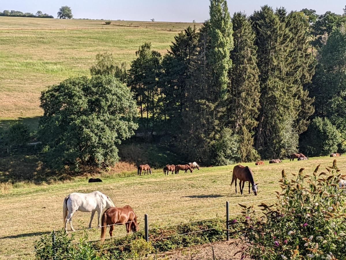 Eifel-Ferienhaus Landblick Hürtgenwald Eksteriør billede