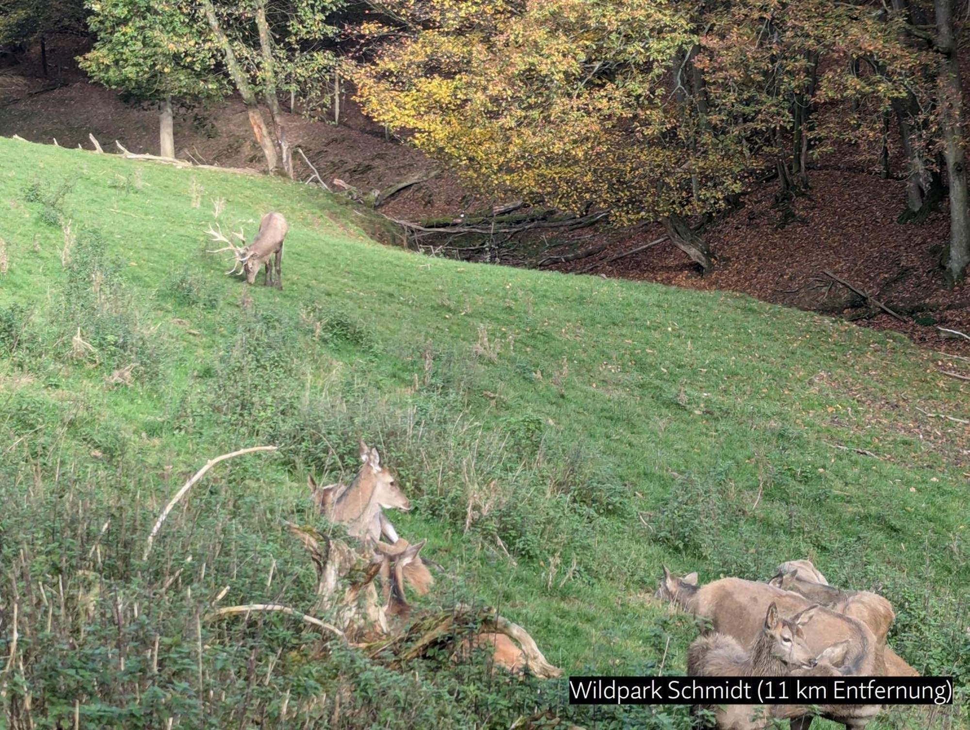 Eifel-Ferienhaus Landblick Hürtgenwald Eksteriør billede